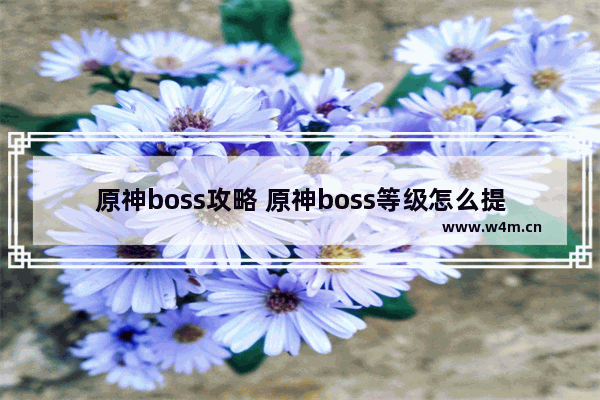 原神boss攻略 原神boss等级怎么提升