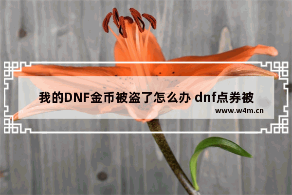 我的DNF金币被盗了怎么办 dnf点券被盗怎么追回