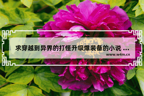 求穿越到异界的打怪升级爆装备的小说 越多越好 地下城与勇士装备升级大全