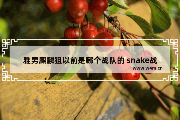 雅男麒麟狙以前是哪个战队的 snake战队历任成员