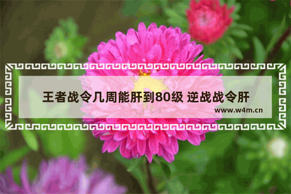 王者战令几周能肝到80级 逆战战令肝