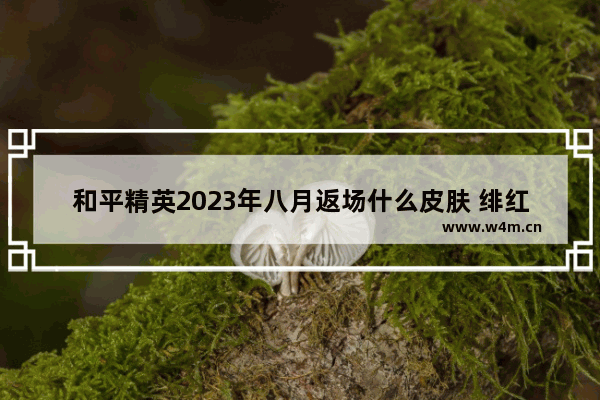 和平精英2023年八月返场什么皮肤 绯红前夜m4162023年还返场吗