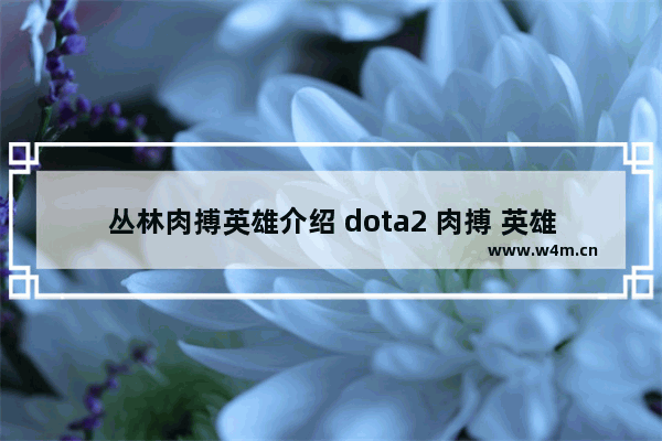 丛林肉搏英雄介绍 dota2 肉搏 英雄