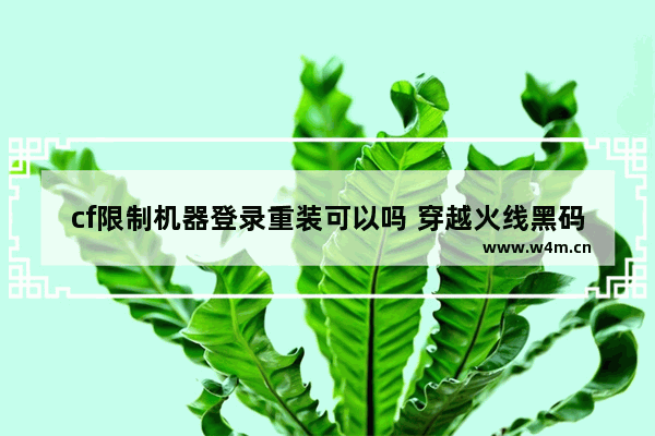 cf限制机器登录重装可以吗 穿越火线黑码