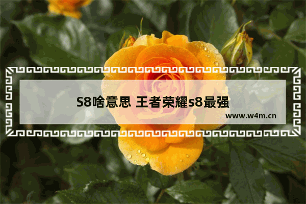 S8啥意思 王者荣耀s8最强