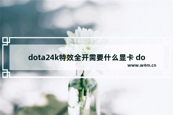 dota24k特效全开需要什么显卡 dota2套装特效