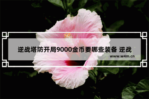 逆战塔防开局9000金币要哪些装备 逆战手雷距离