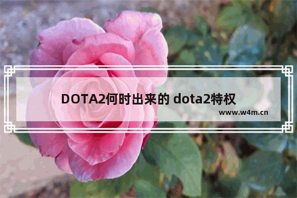 DOTA2何时出来的 dota2特权