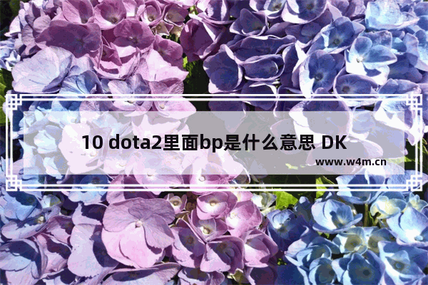 10 dota2里面bp是什么意思 DK+IG+Newbee+VG和dota2甚么关系