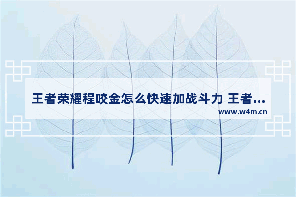 王者荣耀程咬金怎么快速加战斗力 王者荣耀 程咬金攻略