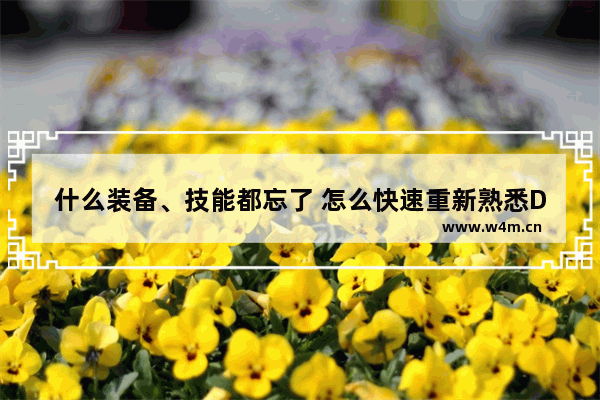 什么装备、技能都忘了 怎么快速重新熟悉DNF 地下城与勇士普通武器装扮