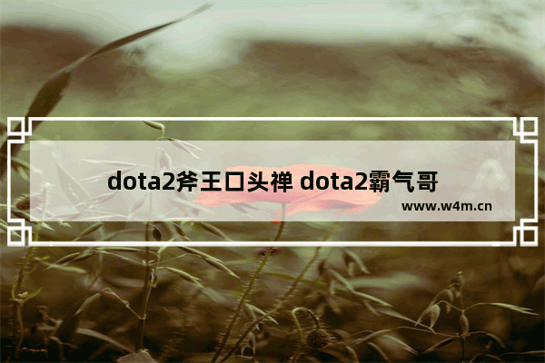 dota2斧王口头禅 dota2霸气哥