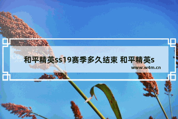 和平精英ss19赛季多久结束 和平精英ss21赛季为什么没更新