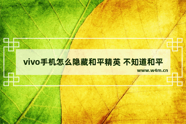 vivo手机怎么隐藏和平精英 不知道和平精英