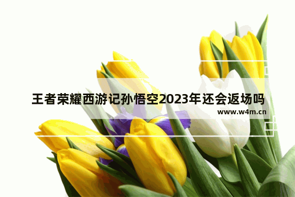 王者荣耀西游记孙悟空2023年还会返场吗 怎么获得孙行者皮肤