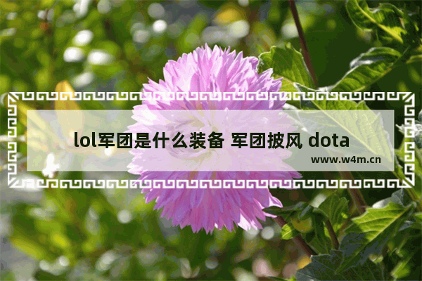 lol军团是什么装备 军团披风 dota2