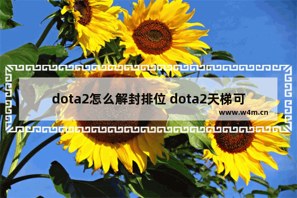 dota2怎么解封排位 dota2天梯可不可以重新单排