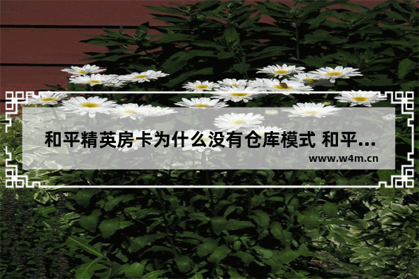 和平精英房卡为什么没有仓库模式 和平精英团竞怎么显示不出武器