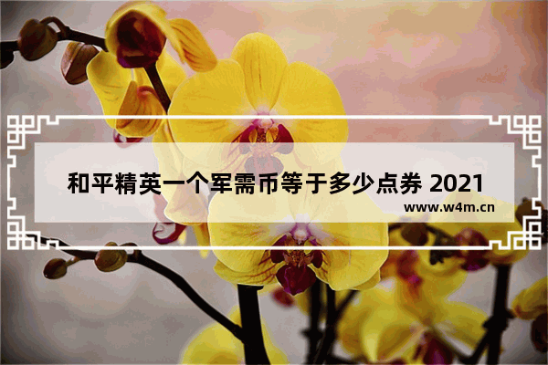 和平精英一个军需币等于多少点券 2021和平精英哪个军需皮肤便宜