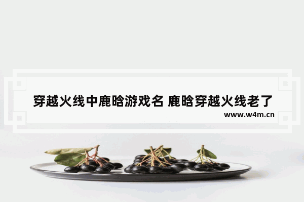 穿越火线中鹿晗游戏名 鹿晗穿越火线老了