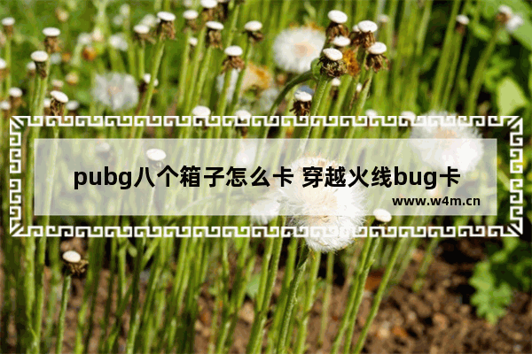 pubg八个箱子怎么卡 穿越火线bug卡箱子