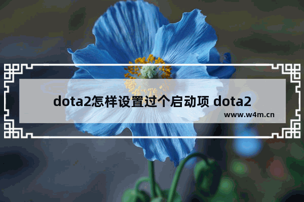 dota2怎样设置过个启动项 dota2设置启动