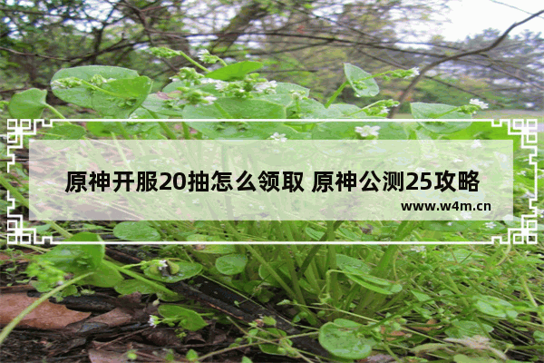 原神开服20抽怎么领取 原神公测25攻略