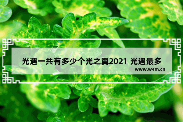 光遇一共有多少个光之翼2021 光遇最多有多少个光之翼