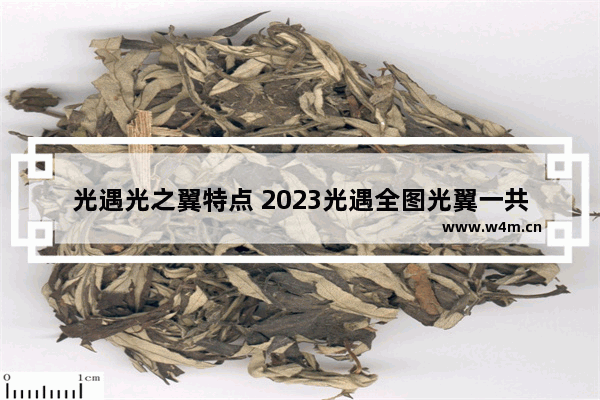 光遇光之翼特点 2023光遇全图光翼一共多少个