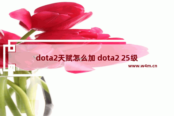 dota2天赋怎么加 dota2 25级天赋