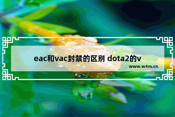 eac和vac封禁的区别 dota2的vac系统