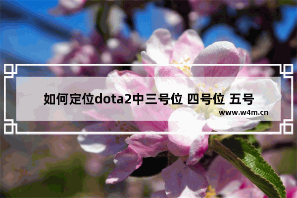 如何定位dota2中三号位 四号位 五号位 dota2四号