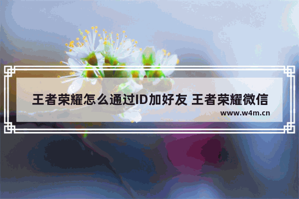 王者荣耀怎么通过ID加好友 王者荣耀微信可以加qq的好友吗