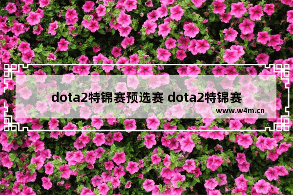 dota2特锦赛预选赛 dota2特锦赛预选赛