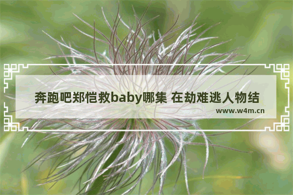 奔跑吧郑恺救baby哪集 在劫难逃人物结局