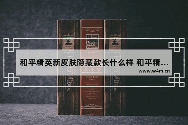 和平精英新皮肤隐藏款长什么样 和平精英新皮肤的人