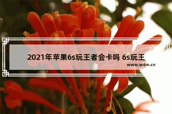 2021年苹果6s玩王者会卡吗 6s玩王者荣耀卡