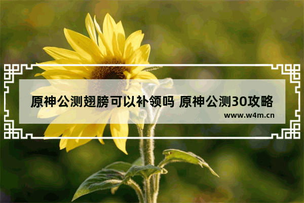 原神公测翅膀可以补领吗 原神公测30攻略