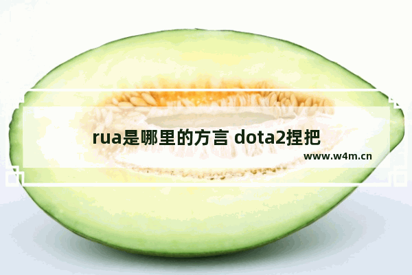 rua是哪里的方言 dota2捏把