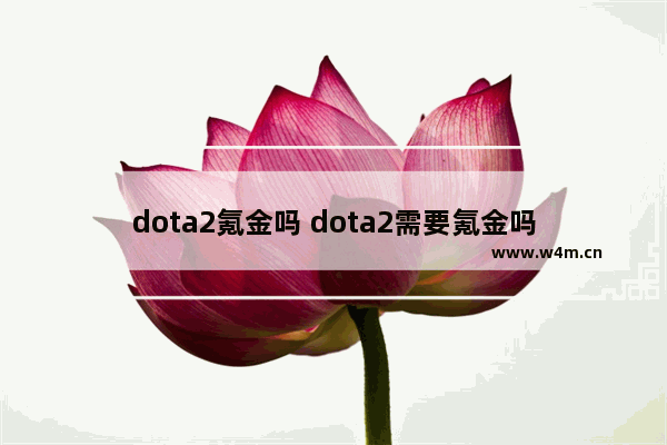 dota2氪金吗 dota2需要氪金吗