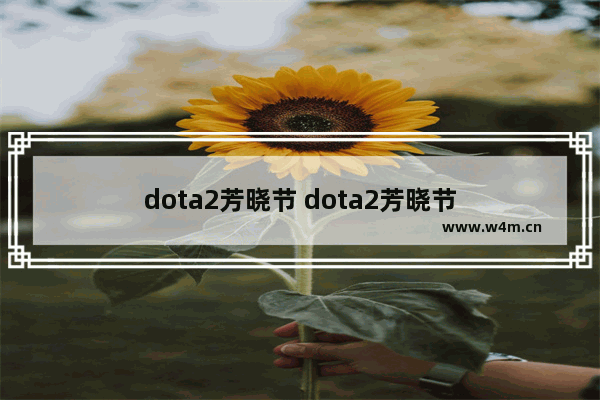 dota2芳晓节 dota2芳晓节