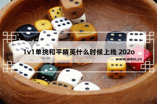 1v1单挑和平精英什么时候上线 202o和平精英