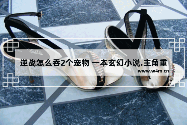 逆战怎么吞2个宠物 一本玄幻小说.主角重生在地狱.变成小恶魔互相吞噬成长 还被赐名撒旦