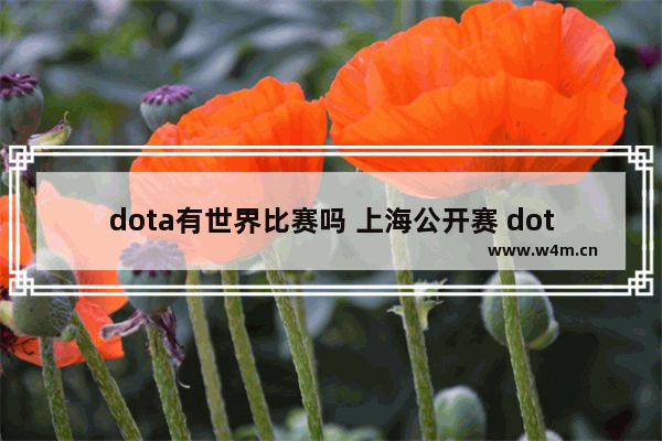 dota有世界比赛吗 上海公开赛 dota2