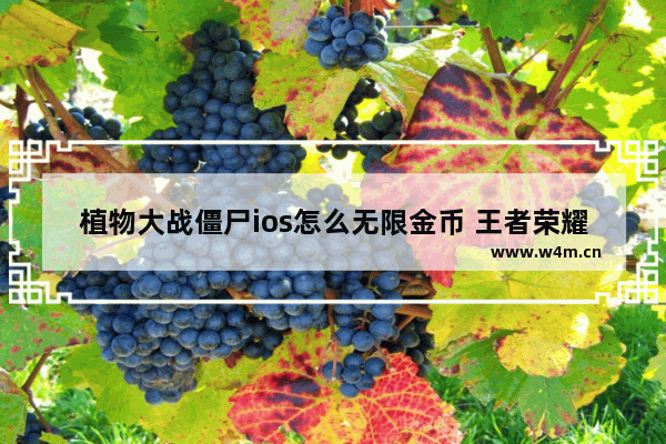 植物大战僵尸ios怎么无限金币 王者荣耀ios刷金币