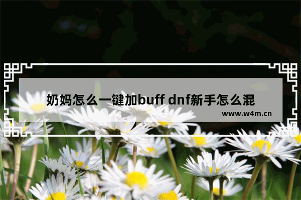 奶妈怎么一键加buff dnf新手怎么混免费团