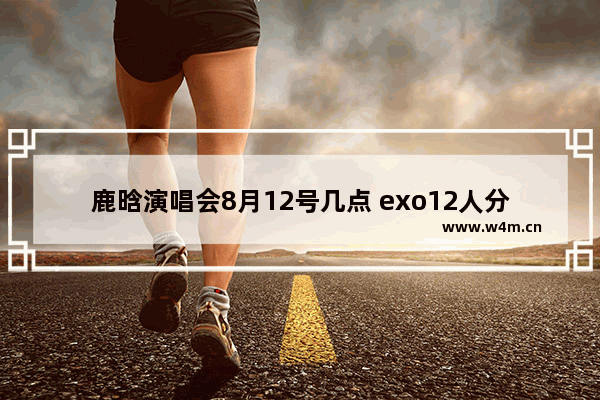 鹿晗演唱会8月12号几点 exo12人分别是什么担当