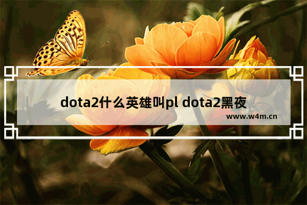 dota2什么英雄叫pl dota2黑夜