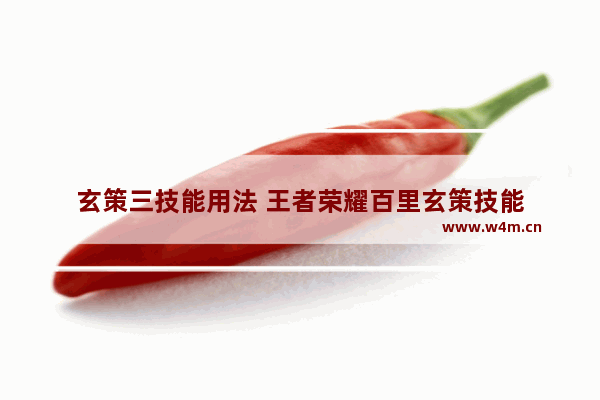 玄策三技能用法 王者荣耀百里玄策技能