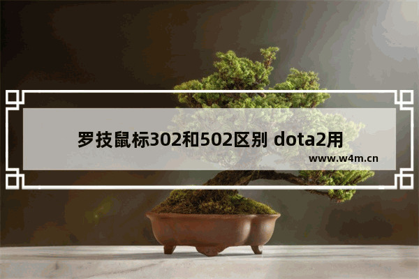 罗技鼠标302和502区别 dota2用什么鼠标